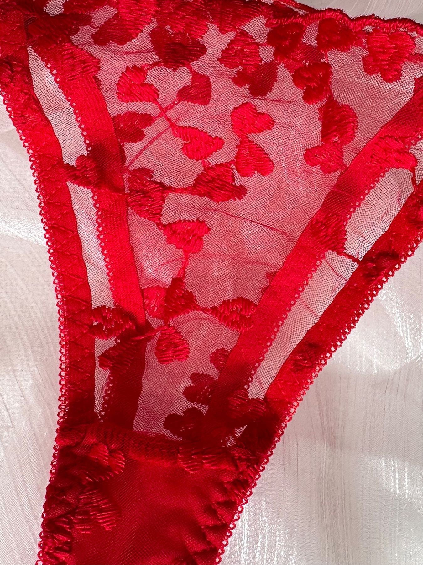 Sateileva "Amore" Heart Embroidered Lingerie Set – Sheer Lace Underwire Bra & Tie-Side Thong Set